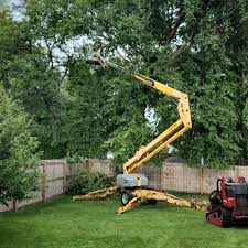 Best Lot and Land Clearing  in University Of Pittsburgh Johnstown, PA